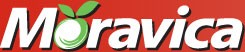 Moravica
